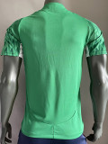 2024-25 Palmeiras Green Special Edition Player Version Soccer Jersey