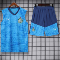 2024-25 Palmeiras Lake blue Tank top and shorts suit