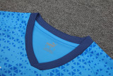 2024-25 Palmeiras Lake blue Training Short Suit