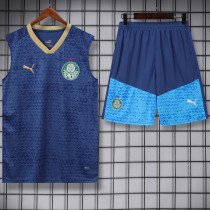 2024-25 Palmeiras Royal blue Tank top and shorts suit