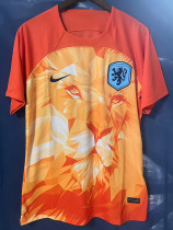 2024 Netherlands Orange Special Edition Fans Soccer Jersey