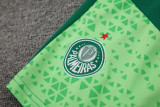 2024-25 Palmeiras Green Training Short Suit