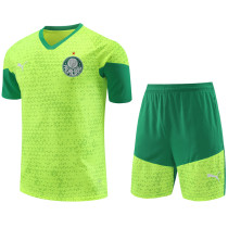2024-25 Palmeiras Fluorescent green Training Short Suit