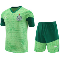 2024-25 Palmeiras Light green Training Short Suit