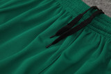 2024-25 Palmeiras Green Tank top and shorts suit