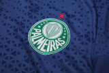 2024-25 Palmeiras Royal blue Training Short Suit