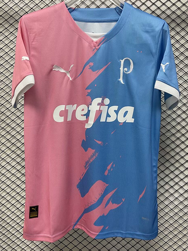 2023-24 Palmeiras Pink Blue Special Edition Training shirts