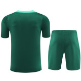 2024-25 Portugal Green Training Short Suit