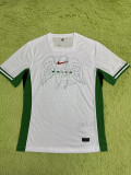 2024-25 Nigeria Home Player Version Soccer Jersey