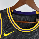 Lakers JAMES JR. #9 Black Top Quality Hot Pressing NBA Jersey(蛇纹)