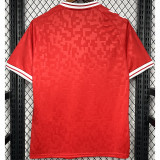 2024-25 Denmark Home Fans Soccer Jersey 胶标