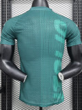 2024-25 Italy Green Player Version Training shirts