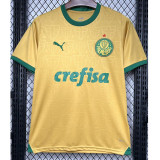 2024-25 Palmeiras Third Fans Soccer Jersey