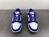 NIKE DUNK LOW DD1503-119