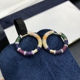 Earrings001