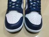 Nike SB Dunk High DD1399-104