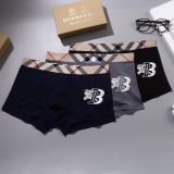 Underpants Top 3 Pieces