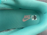 Nike Dunk Low Snake Skin DR8577-300