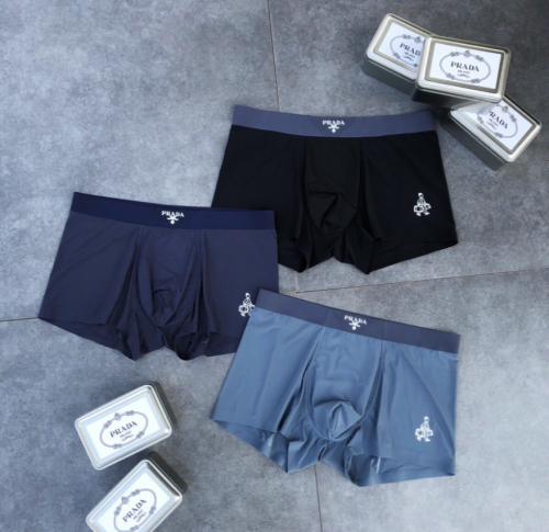 Underpants Top 3 Pieces
