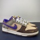 NIKE DUNK LOW DQ5009-268
