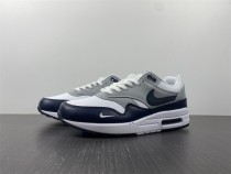 Nike Air Max 1/P DH4059-100