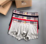 Underpants Top 3 Pieces