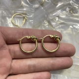 Earrings002