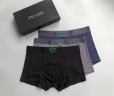 Underpants Top 3 Pieces