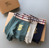 Underpants Top 3 Pieces