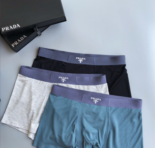 Underpants Top 3 Pieces