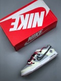 Nike Dunk SB LOW