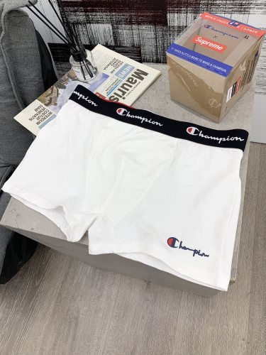 Underpants Top 3 Pieces