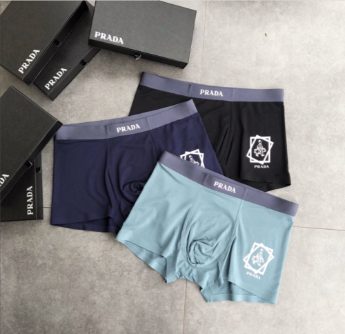 Underpants Top 3 Pieces