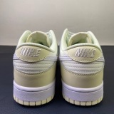 Nike SB Dunk Low DJ6188 100