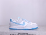 NK Dunk Low