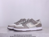 Nike SB Dunk Low Pro