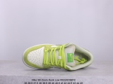 Nike SB Zoom Dunk Low
