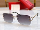 C*artier Glasses Top