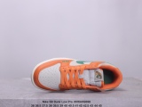 Nike SB Dunk Low Pro