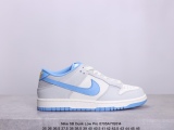 Nike SB Dunk Low Pro