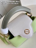 L*ouis V*uitton Bag Top Quality 21*14*8 cm