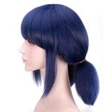 Halloween Ladybug Cosplay Blue Double Ponytail Wigs for Girls