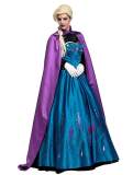 Halloween Adult Snows Queen Anna Cosplay Costume Dress