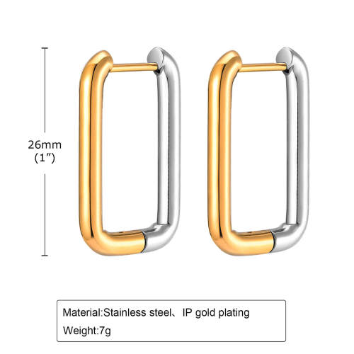 Wholesale Stainless Steel Two Tone Earrings