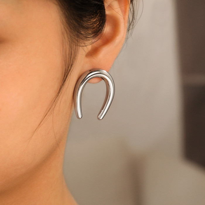 Wholesale Stainless Steel Fashion Niche Earrings