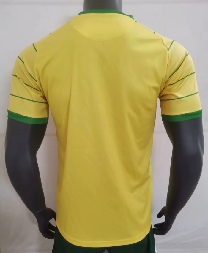 22-23 Nantes Anniversary yellow soccer jersey size S-2XL