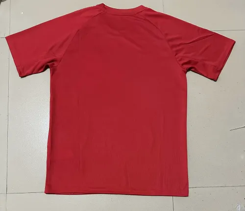 Chivas Pre-Match Soccer Jersey 20224 2025