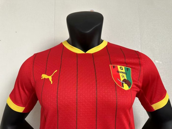 2024 2025 Player Version Guinea Away Soccer Jersey