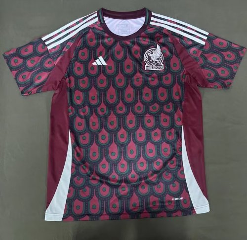 Mexico Away Soccer Jersey 2024 2025