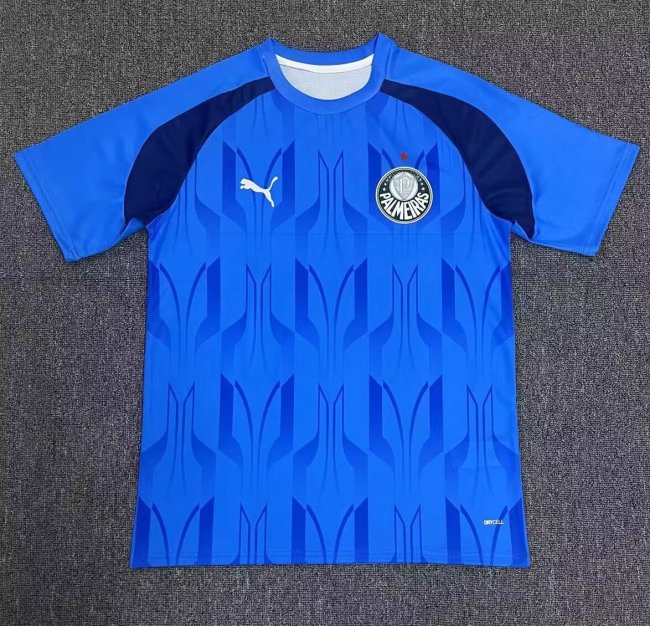 Palmeiras Training Soccer Jersey 2024 2025